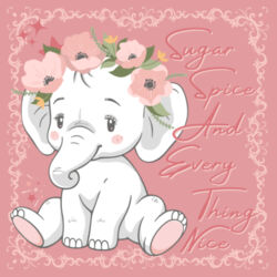 SUGAR SPICE AND EVERYTHING NICE  - Organic Infant Onesie Design
