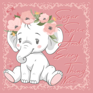 SUGAR SPICE AND EVERYTHING NICE  - Organic Infant Onesie Design