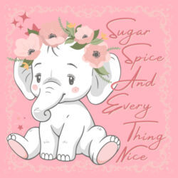 SUGAR SPICE AND EVERYTHING NICE - Tote Bag Design