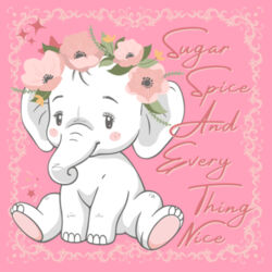 SUGAR SPICE AND EVERYTHING NICE - Womens Crop Top T-Shirt Design