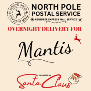 Christmas Santa Sack Large | Postal Service - Personalise Design