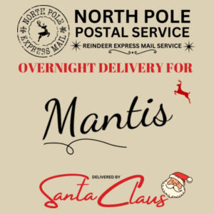 Christmas Santa Sack Medium | Postal Service - Personalise Design