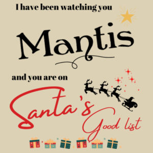 Christmas Santa Sack Medium | Santas List - Personalise Design