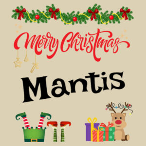 Christmas Santa Sack Medium | Merry Christmas - Personalise Design