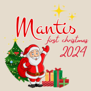 Christmas Decorations | First Christmas - Personalise Design