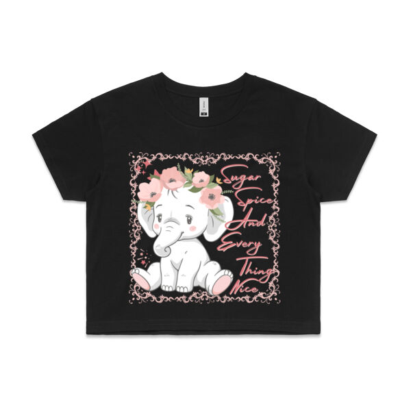 SUGAR SPICE AND EVERYTHING NICE - Womens Crop Top T-Shirt Thumbnail