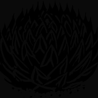 Plants Thumbnail